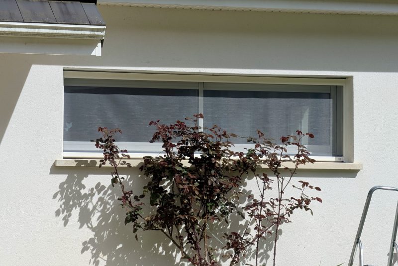 moustiquaire fenêtre